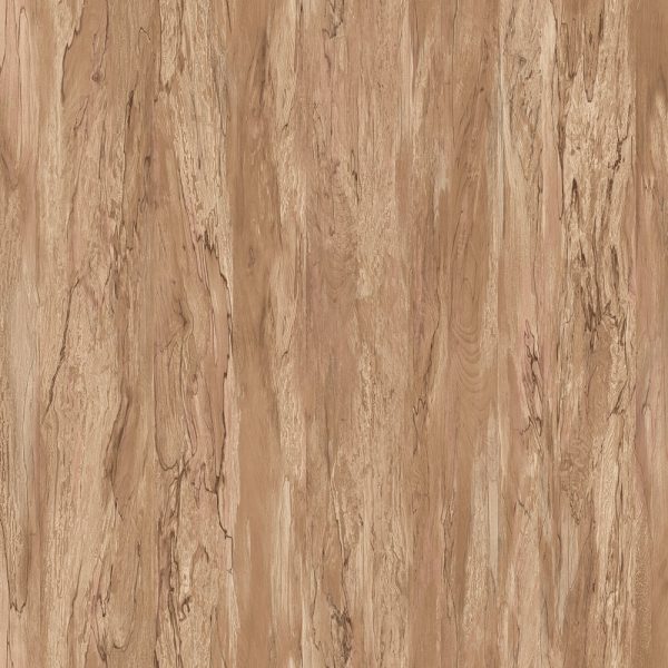 Tanglewood<br>ABS07-491