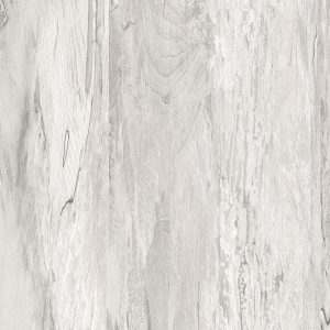 Tanglewood<br>ABS07-819