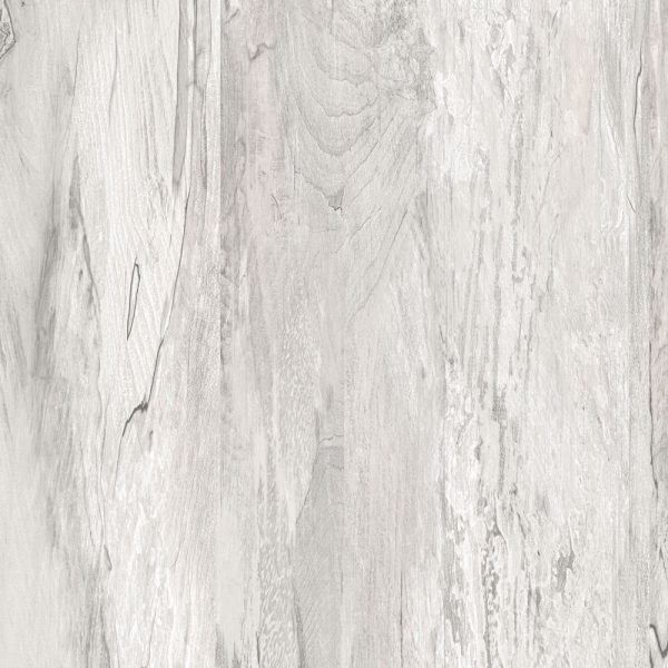 Tanglewood<br>ABS07-819