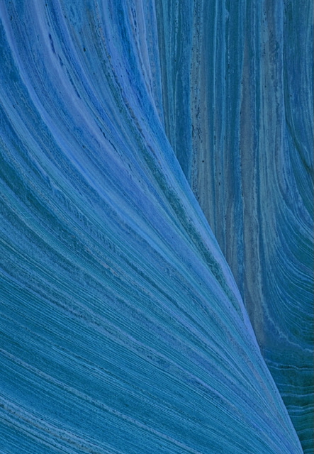 image003